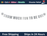 Snow Much Fun To Be One | Hanging Letter Party Banner