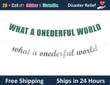 What A Onederful World | Hanging Letter Party Banner